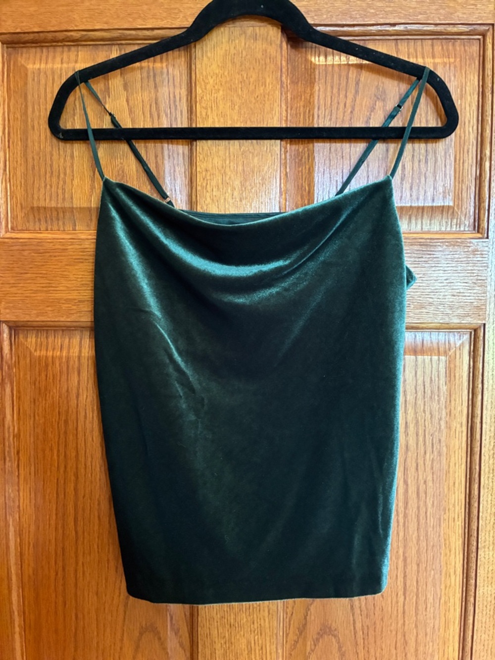 Banana Republic Dark Green Velvet Cowl Neck Camisole